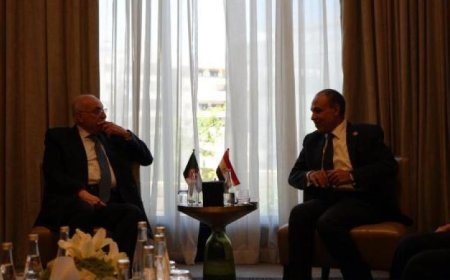 وزير الخارجية المصري ونظيره الجزائري يعززان أواصر التعاون الثنائي بين مصر والجزائر