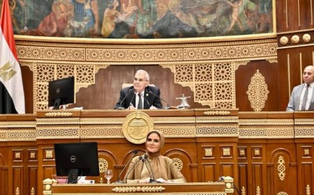 الشيوخ يقدمون تقرير تأثير قانون الشركات لرئيس الجمهورية