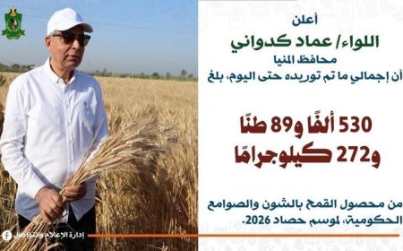 توريد 530 ألف طن من القمح في المنيا والمحافظ يؤكد ضرورة الحصول على تصريح لخروج المحصول