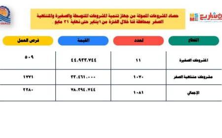 78 مليون جنيه لتمويل مشروعات صغيرة ومتناهية الصغر في قنا منذ بداية 2023