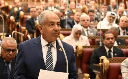 وكيل الشيوخ يؤكد أن ثورة 30 يونيو أنقذت مصر وستبقى حاضرة في قلوب المصريين