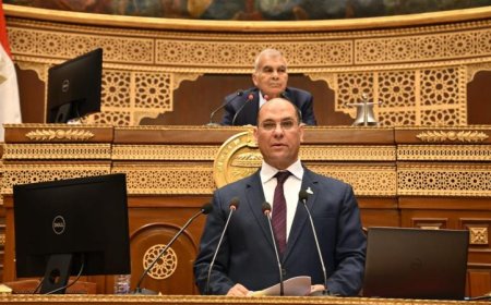 الشيوخ يستعرض سبل تعزيز الصناعة وتوطين إنتاج الأدوية ودعم المشاريع الصغيرة في مصر