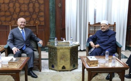 شيخ الأزهر والمفوض السامي يبحثان تعزيز التعاون لدعم حقوق اللاجئين