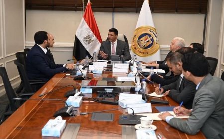 وزير الصناعة يستعرض مع شركة إيرسك فرص تعزيز التحول الأخضر في القطاع الصناعي