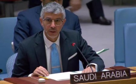 السعودية تؤكد دعمها لوحدة أراضي سوريا وتدين اعتداءات إسرائيل أمام مجلس الأمن