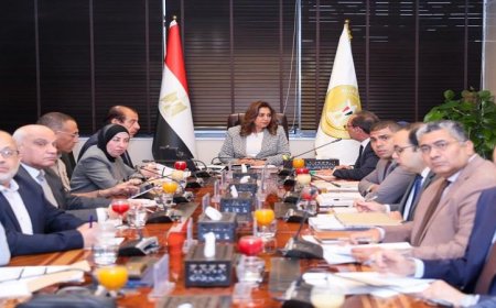 منال عوض تعلن عن إطلاق منظومة سجل البيانات البيئية للمنشآت لتسهيل الإجراءات وتحقيق الرقمنة
