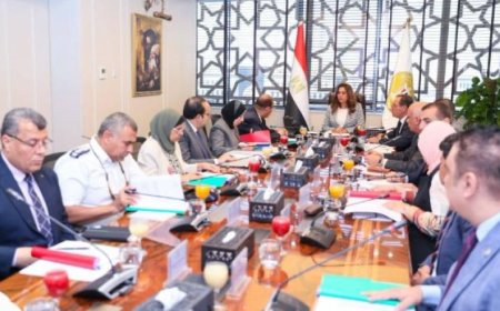 وزارة البيئة تعمل على تطوير فعّال لآليات صندوق حماية البيئة حسب تصريحات منال عوض