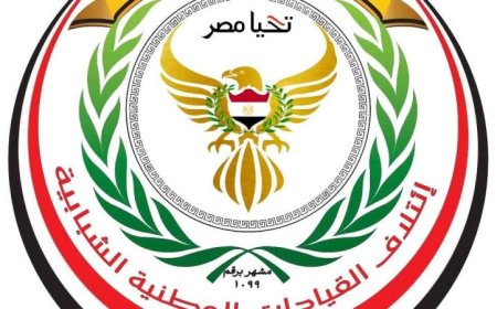 ائتلاف القيادات الوطنية الشبابية ينظم احتفالا مميزا بمناسبة ذكري ثورة 30 يونيو