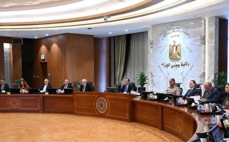 الحكومة توافق على تحويل هيئة التحكيم واختبارات القطن إلى هيئة عامة لخدمة الزراعة والمزارعين