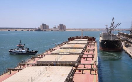 ميناء دمياط يستقبل 18 سفينة لنقل الحاويات والبضائع العامة في 24 ساعة