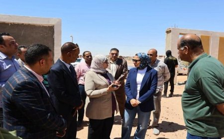 محافظ الوادي الجديد تراقب تقدم مشروع محطة مياه الشرب في شمال باريس