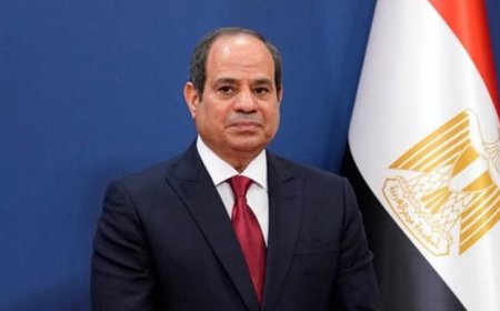 الرئيس السيسي يعلن عن زيادة المعاشات بنسبة 15% اعتبارا من يوليو المقبل