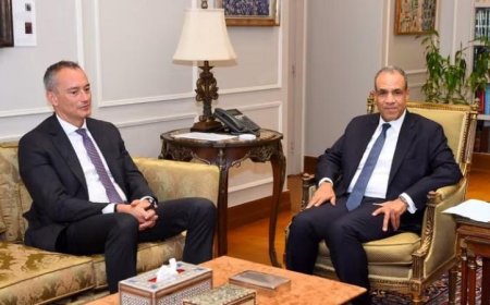 عبد العاطى يشدد على أهمية تنفيذ استحقاقات المرحلة الأولى من خطة ترامب لتحسين الأوضاع في غزة