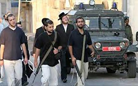 مستوطنون يهاجمون قرية شمال شرق القدس المحتلة ويثيرون التوترات