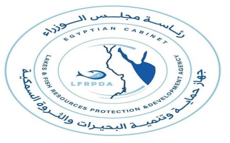 جهاز حماية وتنمية البحيرات يرد على شائعات الأمراض الخطيرة في أسماك المزارع المصرية