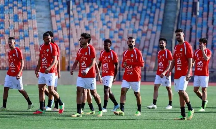 عودة منتخب الأحمر لمواجهة نيوزيلندا ومواجهة الأبيض لبلجيكا في مباريات مثيرة