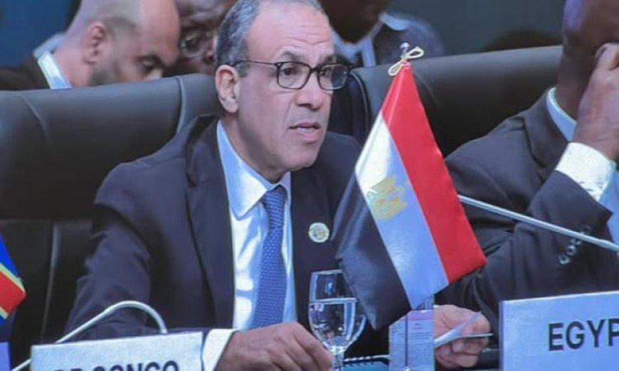 وزير الخارجية المصري يبرز استراتيجية تعزيز التعاون الاقتصادي وتحقيق التنمية المستدامة في إفريقيا