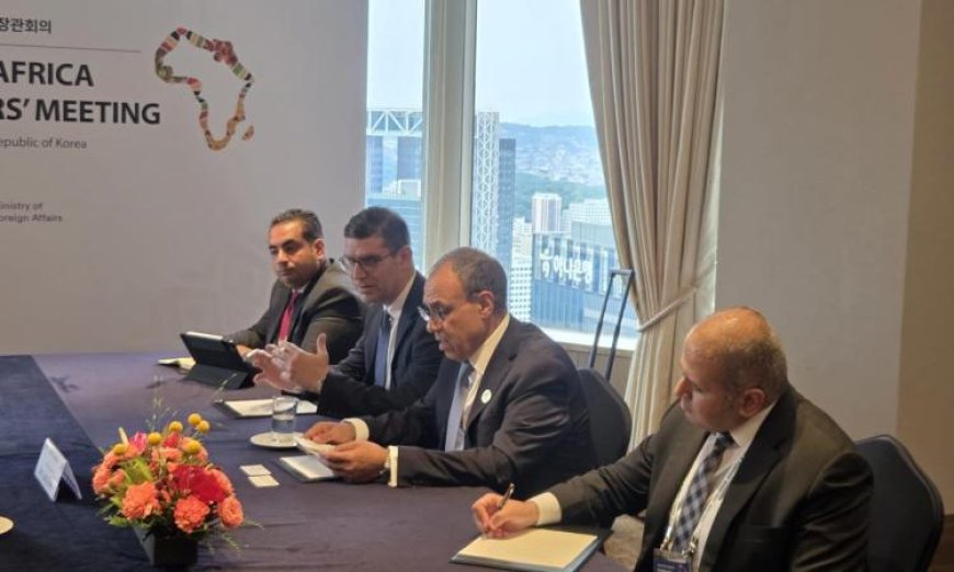 وزير الخارجية يؤكد أهمية تعزيز التعاون مع البنك الكوري الجنوبي في مجالات التصدير والاستيراد