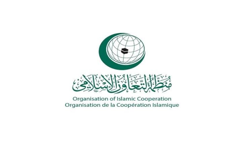 منظمة التعاون الإسلامي تندد بالعدوان الإسرائيلي على لبنان وتدعو إلى إحلال السلام