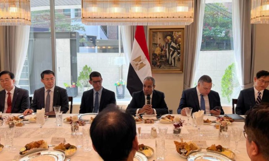 وزير الخارجية يلتقي ممثلي الشركات الكورية الكبرى لتعزيز الاستثمارات في مصر