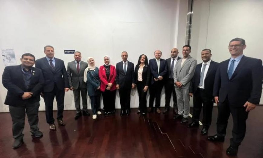 لقاء وزير الخارجية مع الجالية المصرية في كوريا الجنوبية لتعزيز العلاقات الثقافية والاجتماعية