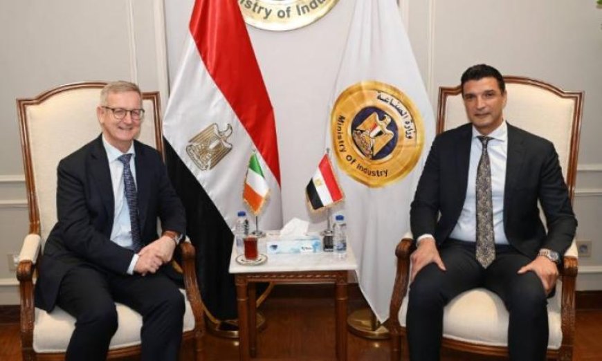 وزير الصناعة يناقش مع سفير أيرلندا في القاهرة سبل تعزيز التعاون الصناعي
