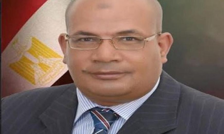 تكليف عبدالعزيز بلال لقيادة الهيئة القومية للاستشعار من البعد وفقاً لتصريحات قنصوة