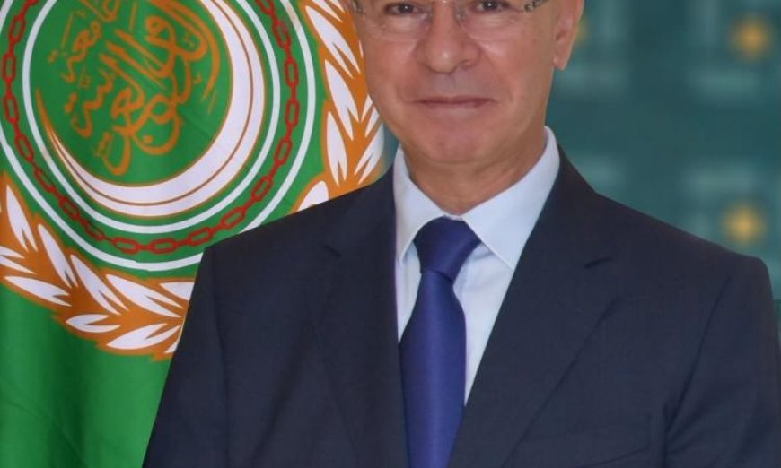 الجامعة العربية والأمم المتحدة تناقشان آخر مستجدات القضية الفلسطينية لتعزيز الدعم الدولي