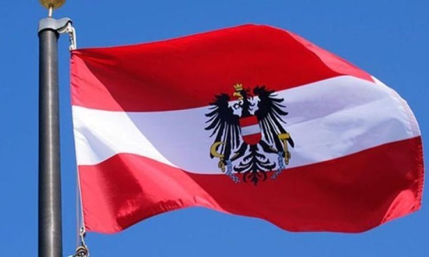 النمسا تحقق انتصاراً دبلوماسياً وتحصل على مقعد في مجلس الأمن الدولي