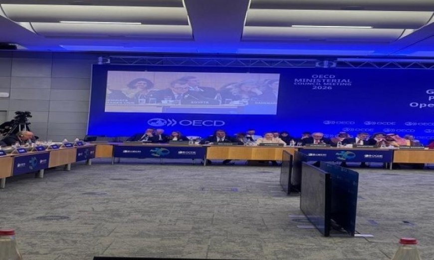 وزير التخطيط يؤكد أن برنامج الإصلاح الهيكلي الوطني يعزز نمو القطاع الخاص في البلاد