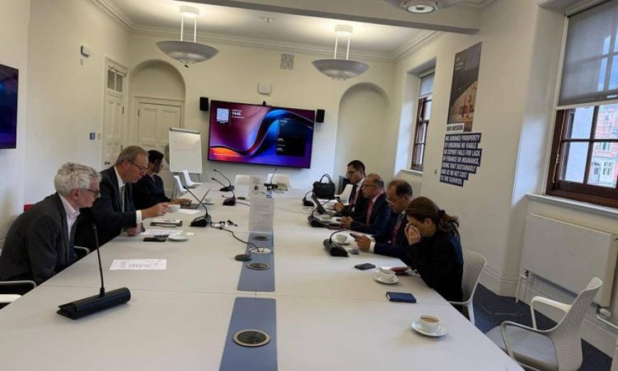 وزير الاستثمار يلتقي مع وكالة UK Export Finance البريطانية لتعزيز أوجه التعاون الاقتصادية
