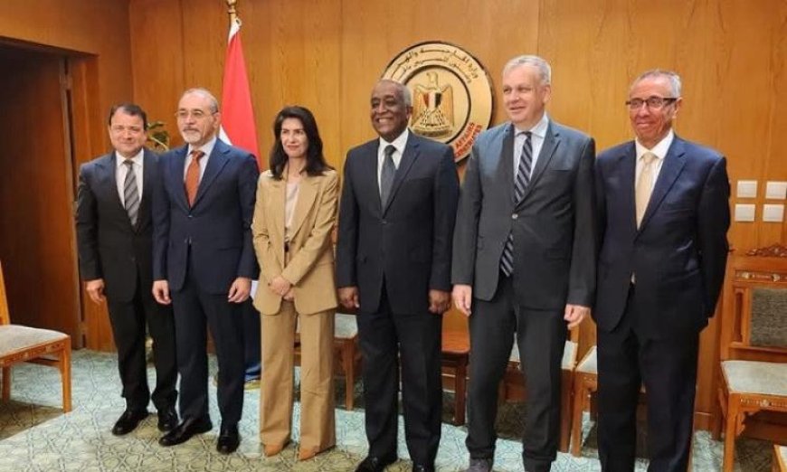 مصر وألمانيا تستعرضان الوضع الراهن في السودان وآخر التطورات في منطقة القرن الأفريقي