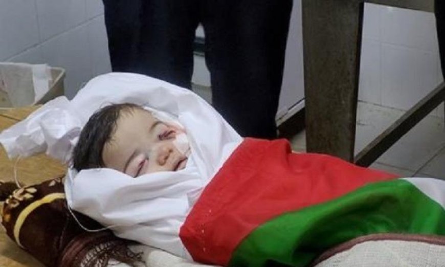 الخارجية الفلسطينية تدعو لمحاسبة الاحتلال بعد إعدام الرضيع سام أبو هيكل