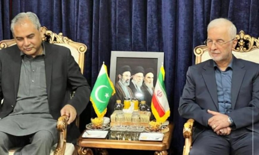 وزير الداخلية الباكستاني يزور طهران للاجتماع مع نظيره الإيراني لتعزيز التعاون الأمني