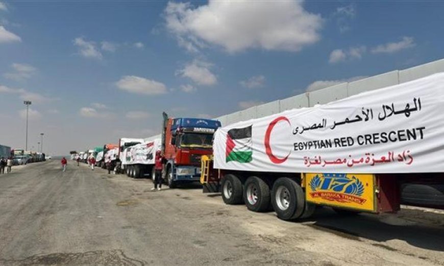 انطلاق الدفعة الـ209 من شاحنات المساعدات الإنسانية إلى قطاع غزة