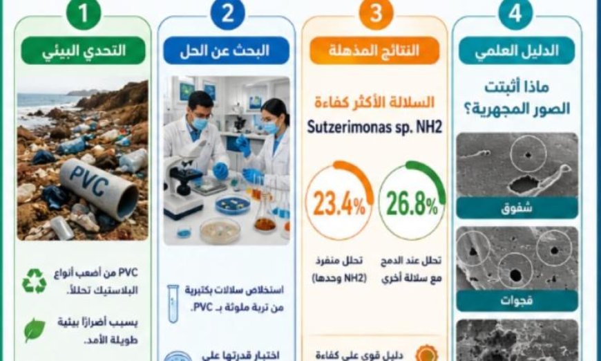 فريق بحثي من جامعة علوم القاهرة يحقق إنجازًا في استخدام البكتيريا لتحليل البلاستيك الملوث بفعالية