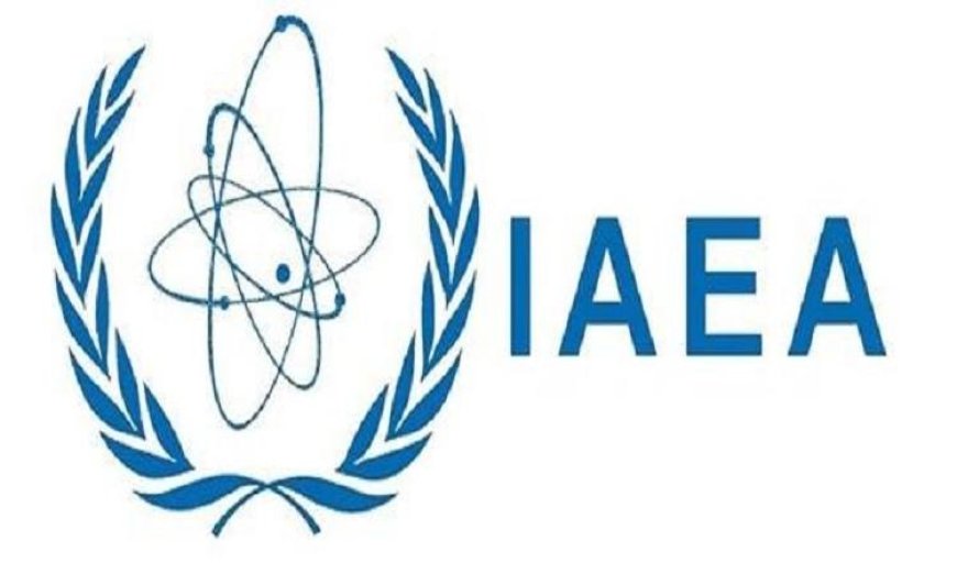 الوكالة الدولية للطاقة تراقب التطورات عقب الهجوم على منشأة تشيرنوبيل النووية
