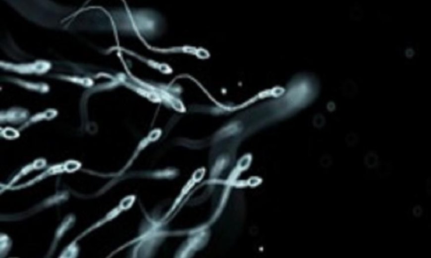 تأثير التوتر على نمو الأطفال وكيف يؤثر على صحتهم النفسية