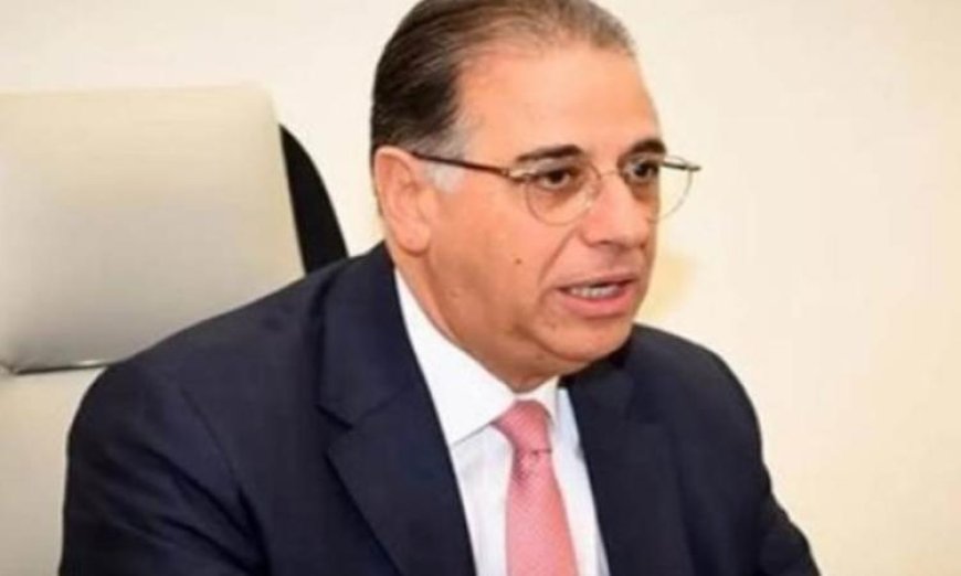 الخارجية المصرية تؤكد أن إسهامات المصريين في الخارج تمثل دعماً أساسياً للوطن
