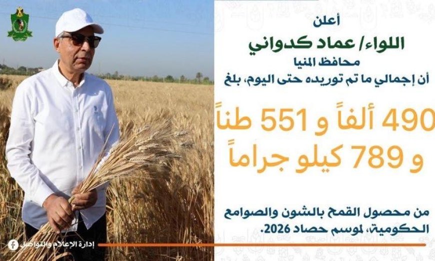 محافظ المنيا يكشف عن تخطي مستهدف توريد القمح بنسبة 15% بقبول أكثر من 490 ألف طن