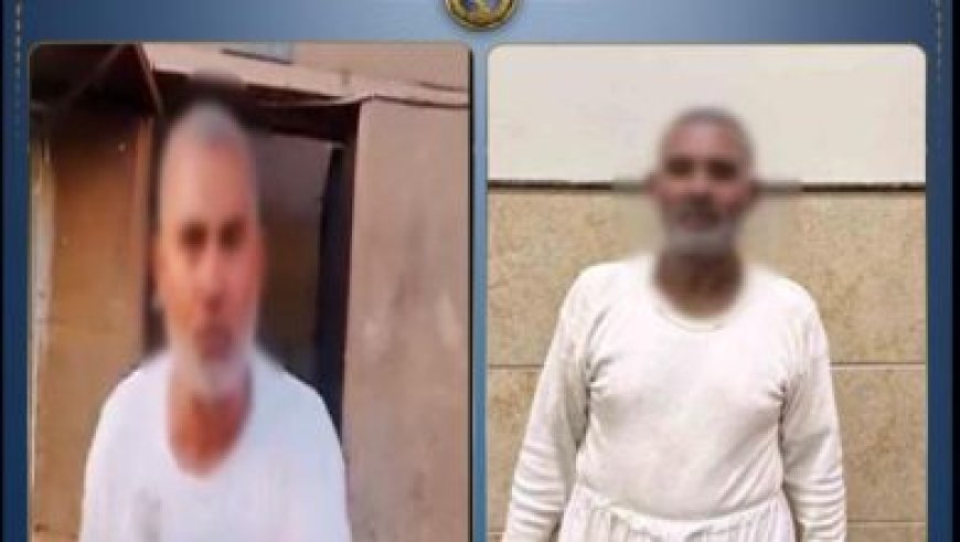 حصيلة مذهلة في الإسكندرية ضبط سلع غذائية فاسدة ومجهولة المصدر في حملة تموينية
