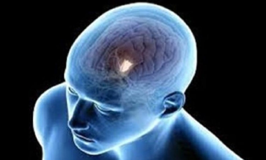 تطورات مثيرة في عالم الطب: عقاقير جديدة لعلاج التهابات الدماغ