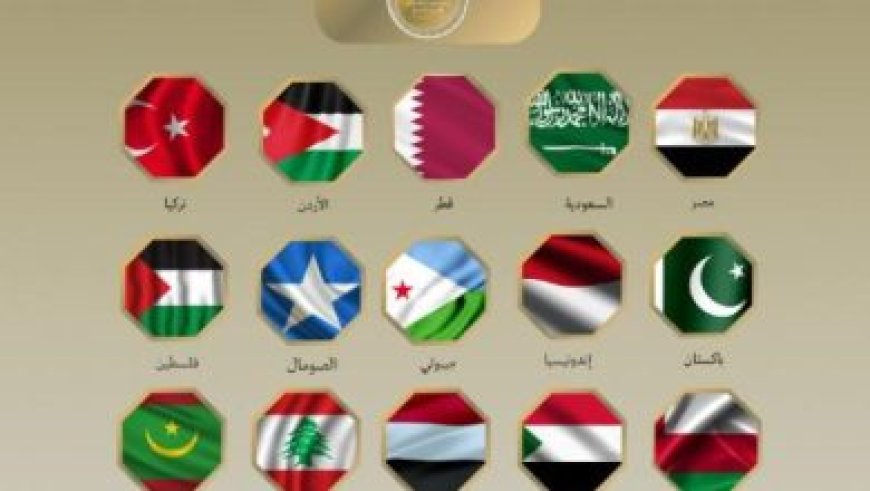 المستشفى الإماراتي العائم في العريش يتسلم خمس حالات طبية فلسطينية من غزة