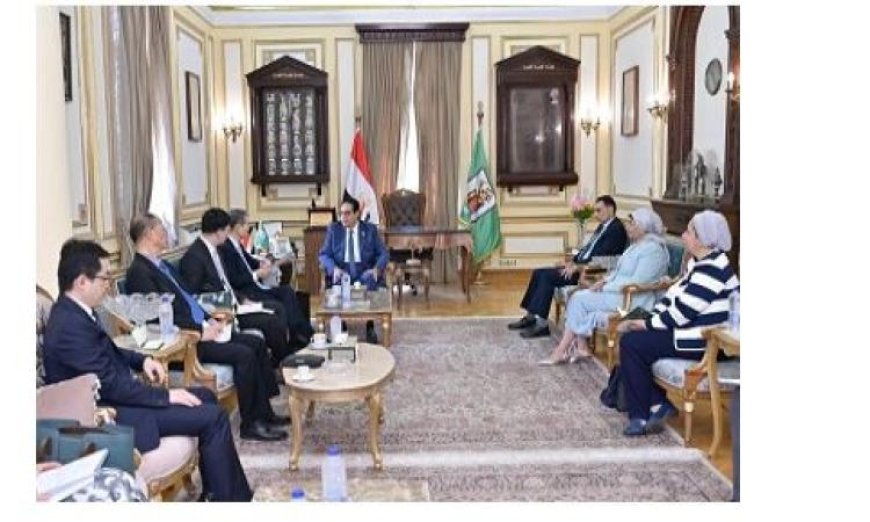 د. عبد الصادق يؤكد أن العلاقات المصرية الصينية تدخل مرحلة جديدة من التعاون غير المسبق
