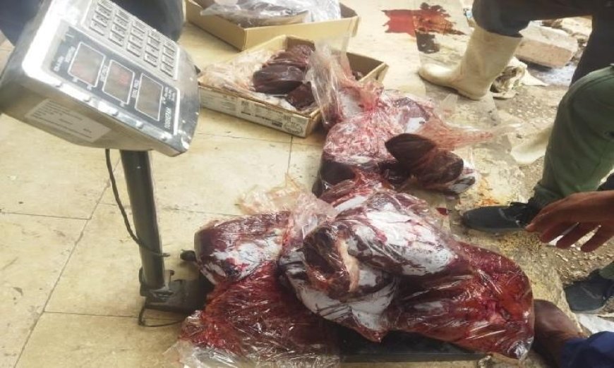 ضبط 85 كيلو من اللحوم الفاسدة و424 منتجاً غذائياً منتهي الصلاحية في حملة رقابية مشددة