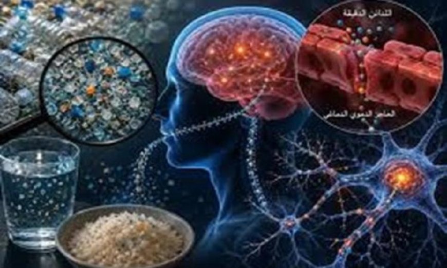 دراسات جديدة تكشف علاقة مثيرة بين جسيمات البلاستيك الدقيقة واضطرابات الدماغ