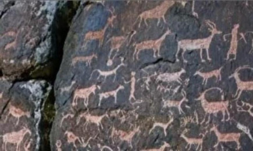 اكتشاف 1200 نقش صخري نادر في كازاخستان يعيد كتابة تاريخ البشرية