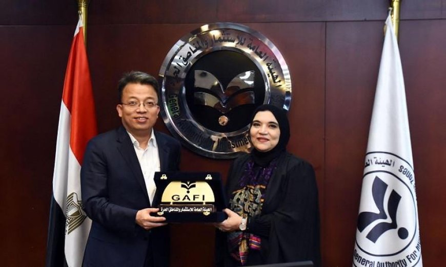 وفد مكون من 16 شركة صينية كبرى يزور مصر قريبًا لاستكشاف فرص استثمارية جديدة