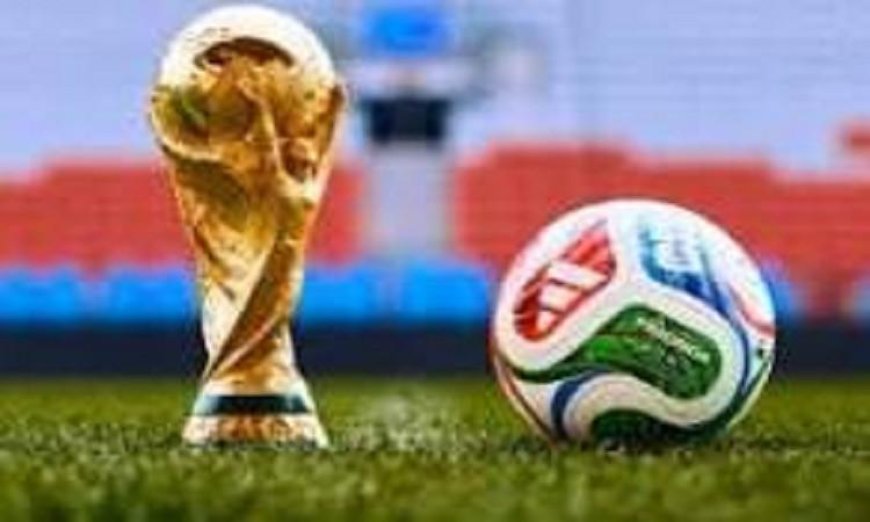 جدول مباريات يوم الأحد 14 يونيو في مونديال 2026 وكل ما تحتاج معرفته