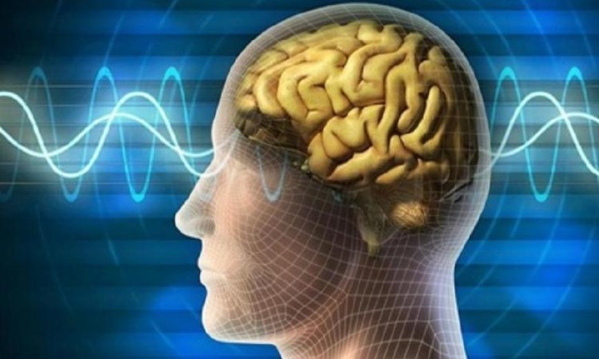 دراسة جديدة تكشف طرق فعالة لحماية الدماغ من أعراض ألزهايمر المبكرة